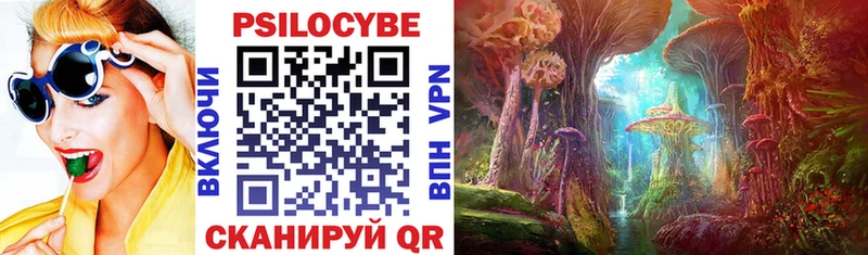 Псилоцибиновые грибы MAGIC MUSHROOMS дарнет шоп маркетплейс состав Курильск