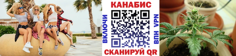 Бошки марихуана марихуана  кракен сайт  Курильск 